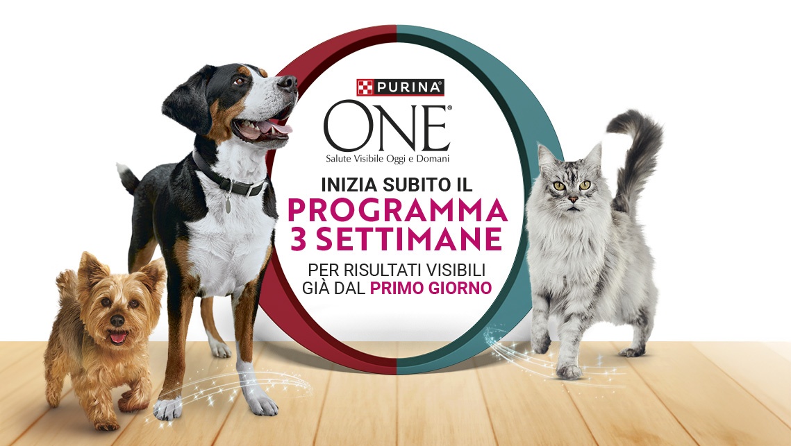 Visual del programma 3 settimane di Purina One con gatto e cani