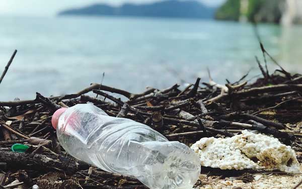 packaging sostenibile, responsabile, riusabile: i trend del 2021